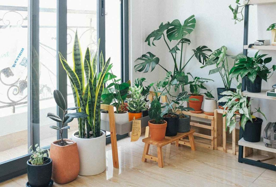 intérieur intérieur